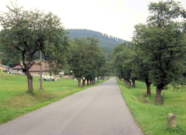 Alej s jaderničkou moravskou