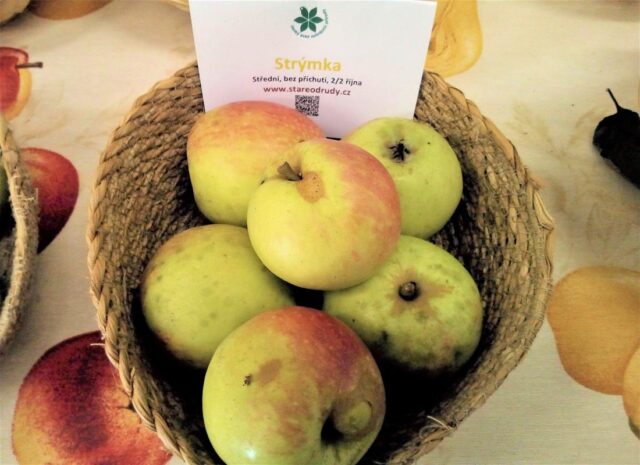 Jabloň Strýmka
