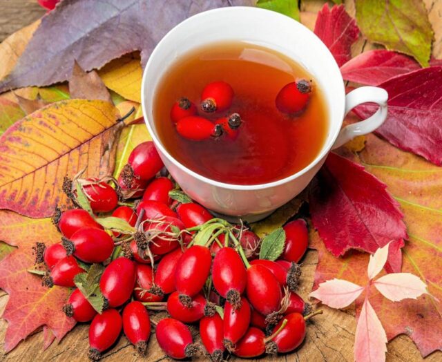 Čaj z plodů šípků