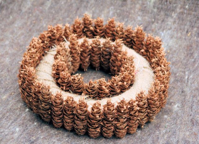 Šišky ve vánoční floristice