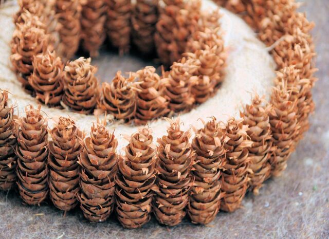 Šišky ve vánoční floristice