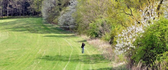 Ovocné sady u Votic