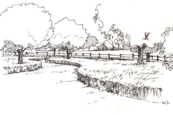 Navržený ovocný sad