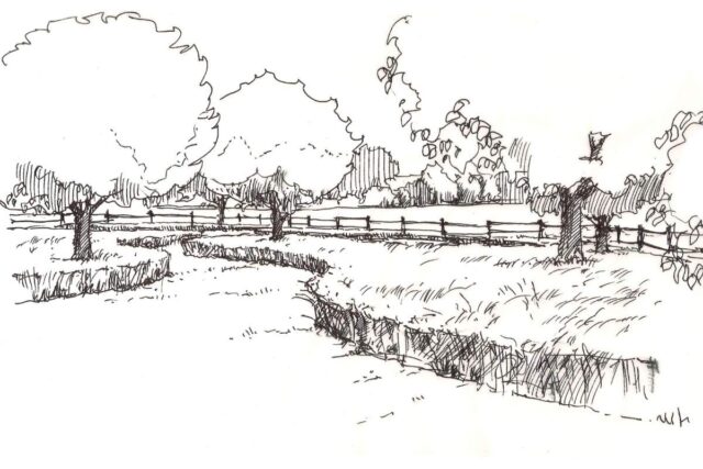 Navržený ovocný sad