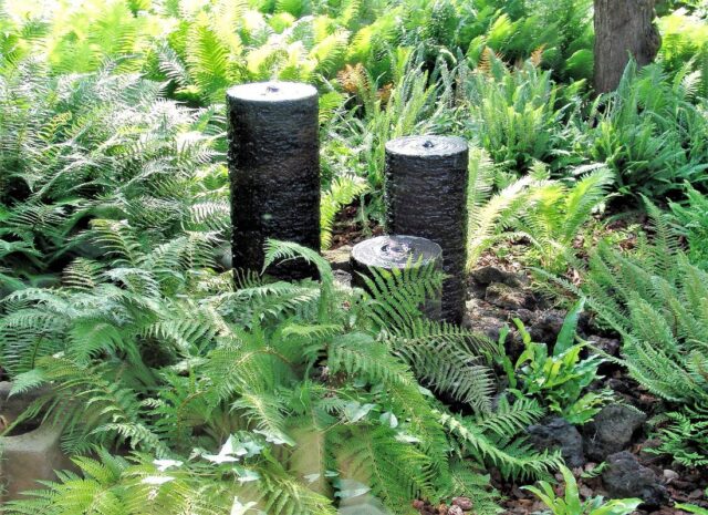 Kapradinám se v zahradě daří ve vlhčích místech