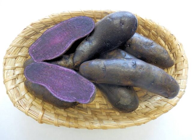 Barevné dužniny brambor - odrůda Val Blue