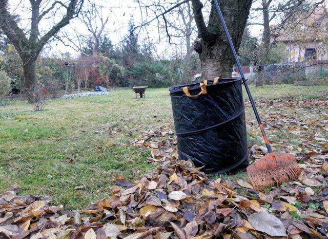 listopad na zahradě - hrabání listí