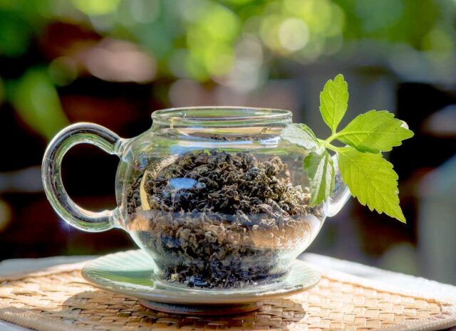 Gynostema pětilistá