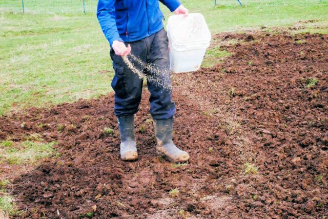 Aktuální problémy zahrádkářů - kdy vysévat trávník