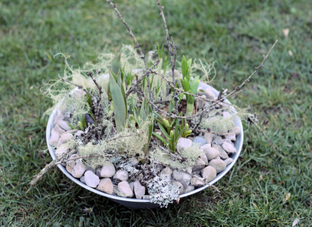 Jak osázet jarní nádoby