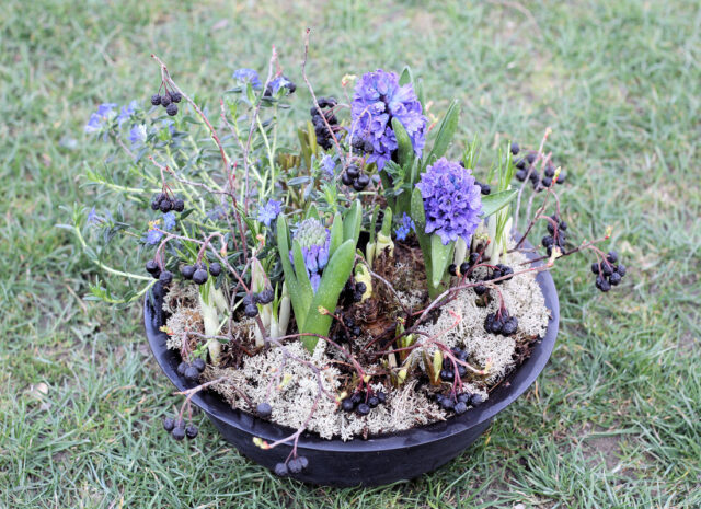 Jak osázet jarní nádoby