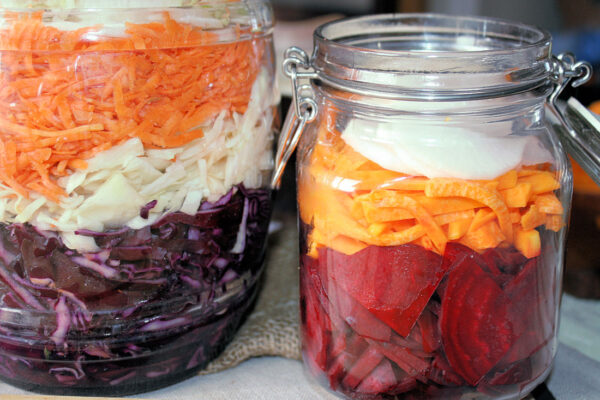 Zelenina různé druhy připravené ke kvašení