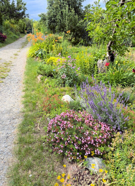 ZO Kraví Hora 2 Brno