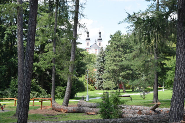 Hamzův park a arboretum