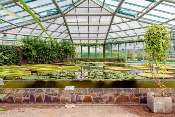Botanická zahrada Liberec