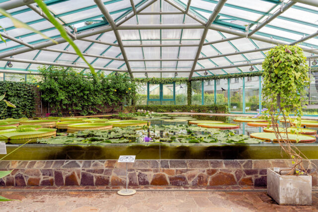Botanická zahrada Liberec