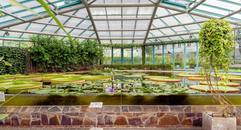 Botanická zahrada Liberec
