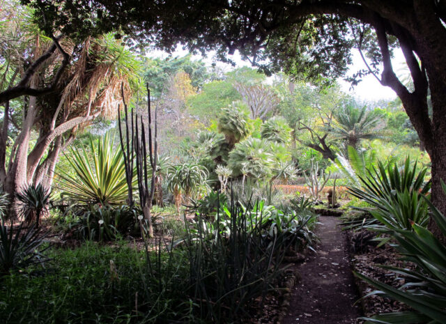 Botanická zahrada Orotava