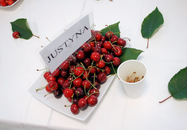 Šlechtění třešní - Justyna